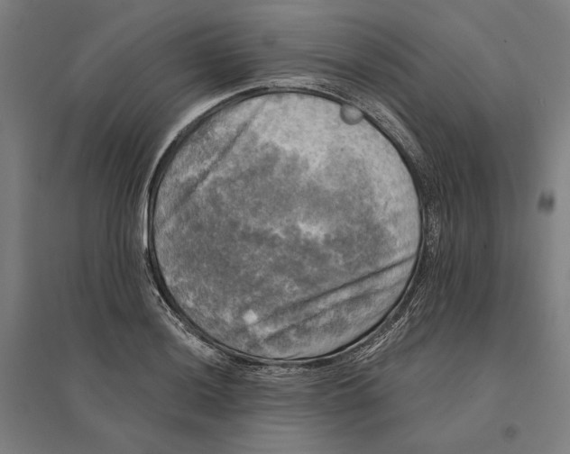 X0000095111036200712301731