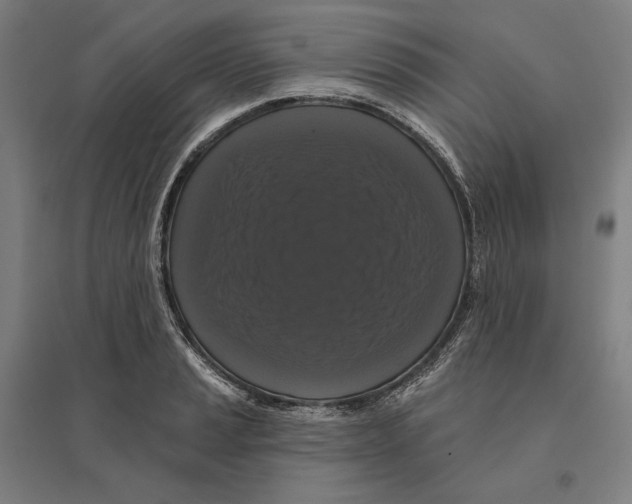 X0000095111037200712301731