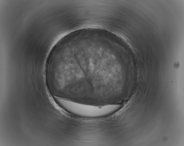 X0000095111038200712301731