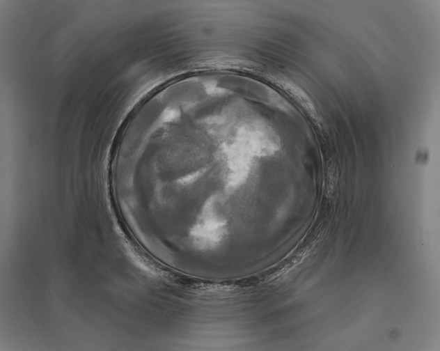 X0000095111039200712301731