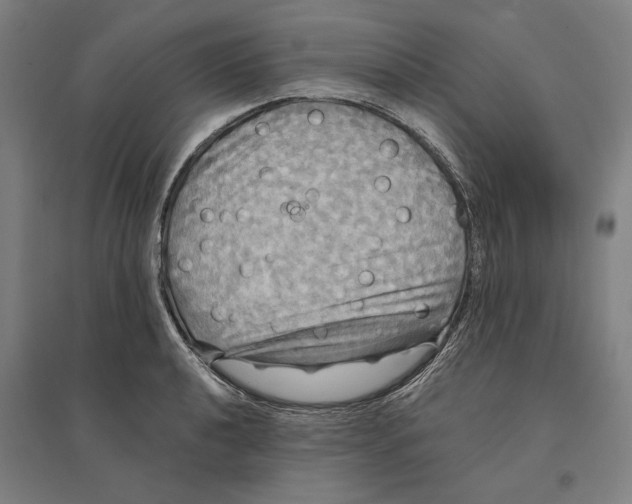 X0000095111040200712301731