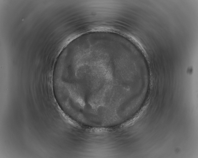 X0000095111041200712301731