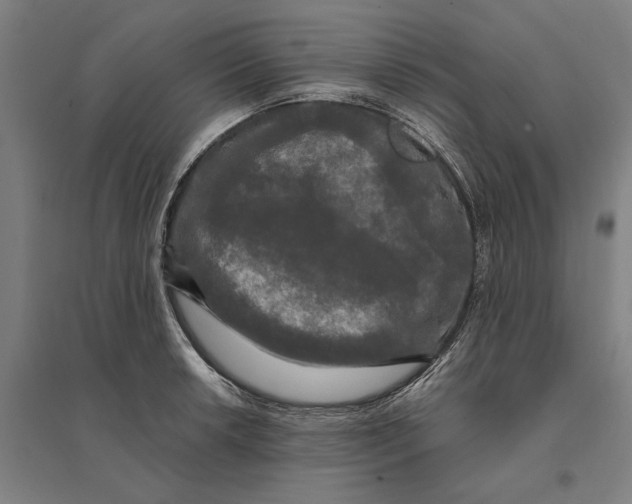 X0000095111042200712301731