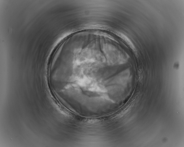 X0000095111043200712301731