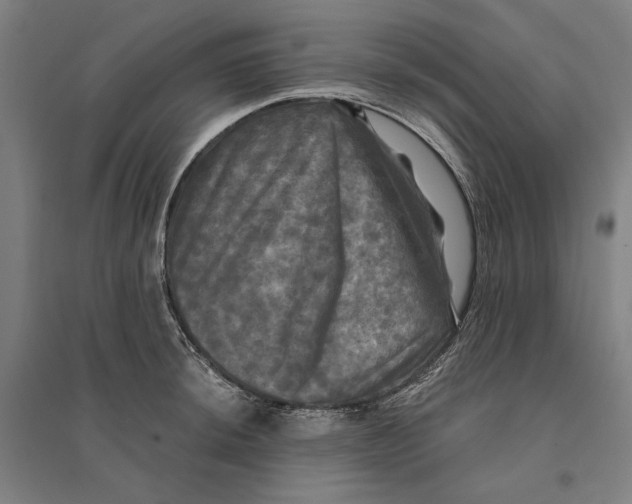 X0000095111044200712301731