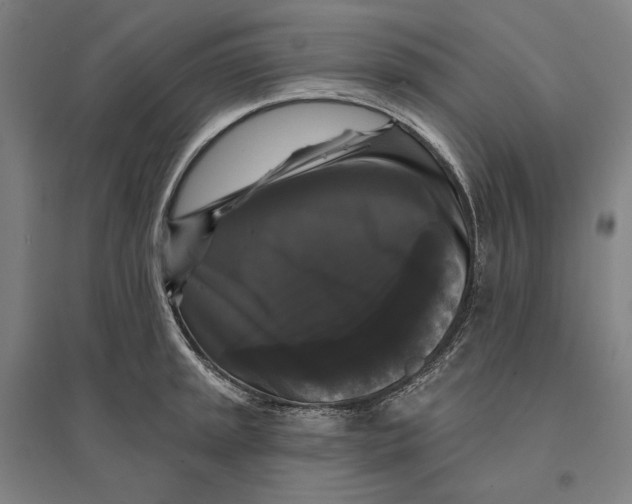 X0000095111045200712301731