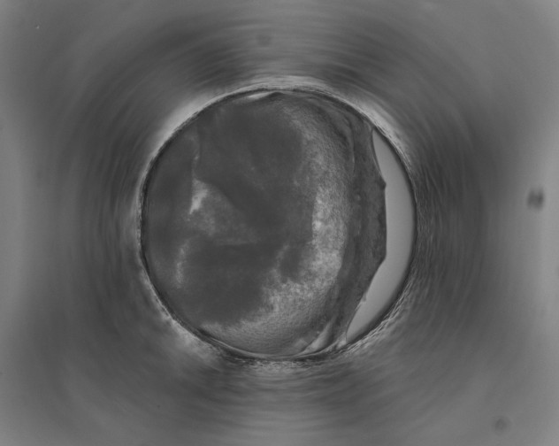 X0000095111046200712301731