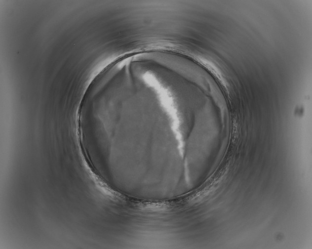 X0000095111047200712301731