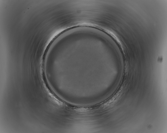 X0000095111048200712301731