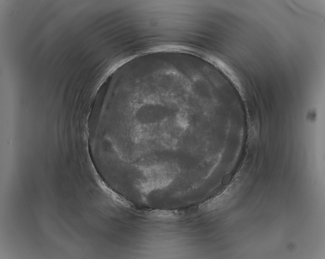 X0000095111049200712301731