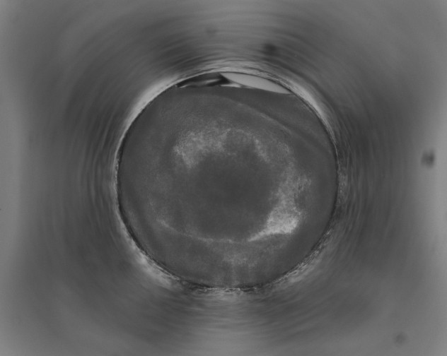 X0000095111050200712301731