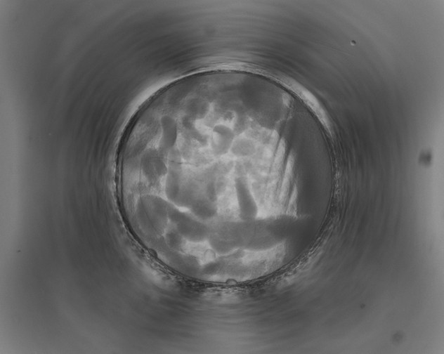 X0000095111051200712301731