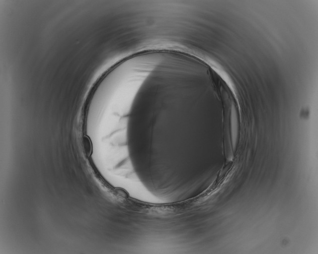 X0000095111053200712301731