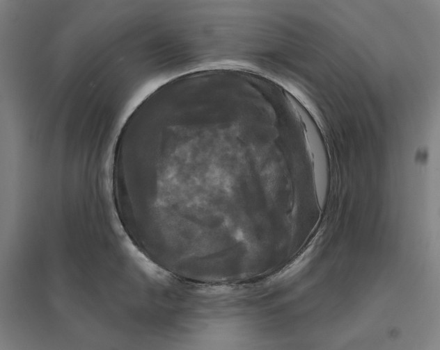 X0000095111054200712301731