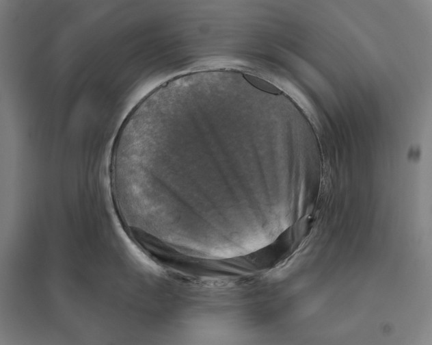 X0000095111055200712301731