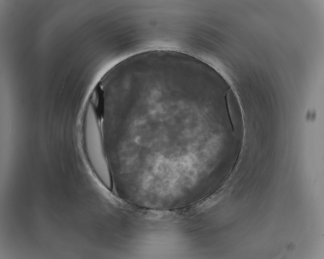 X0000095111056200712301731