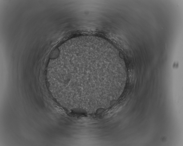 X0000095111057200712301731