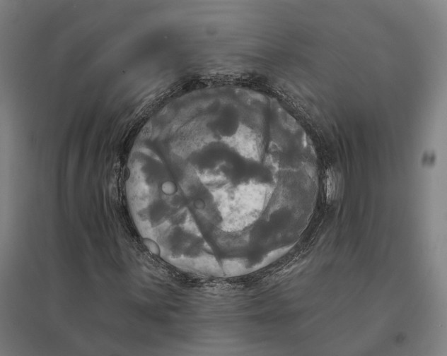 X0000095111059200712301731