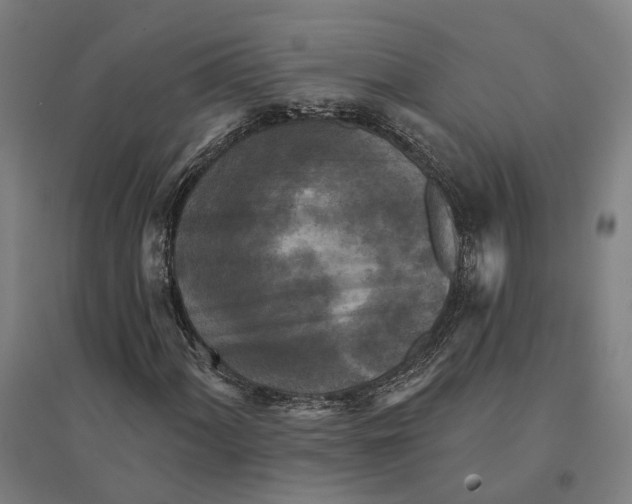 X0000095111060200712301731