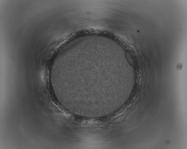 X0000095111061200712301731