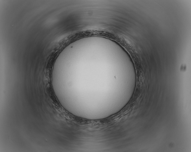 X0000095111062200712301731