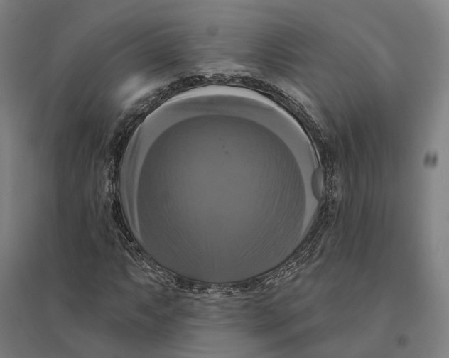 X0000095111063200712301731