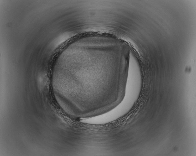 X0000095111064200712301731