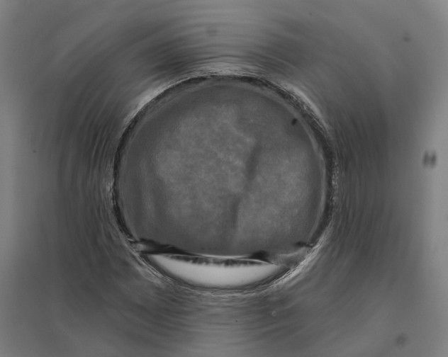 X0000095111065200712301731