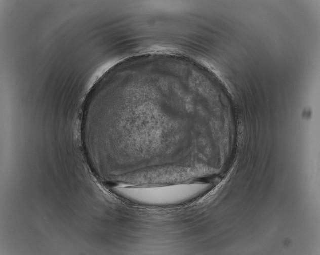 X0000095111066200712301731