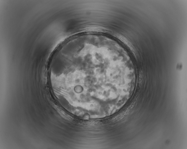 X0000095111067200712301731