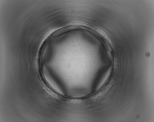 X0000095111068200712301731