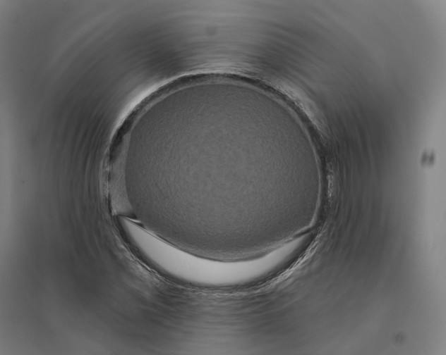 X0000095111069200712301731