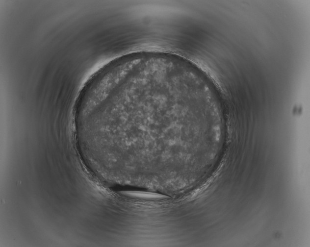 X0000095111070200712301731