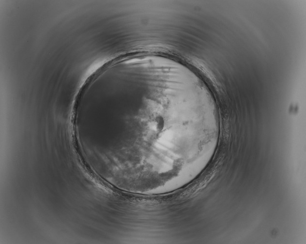 X0000095111071200712301731