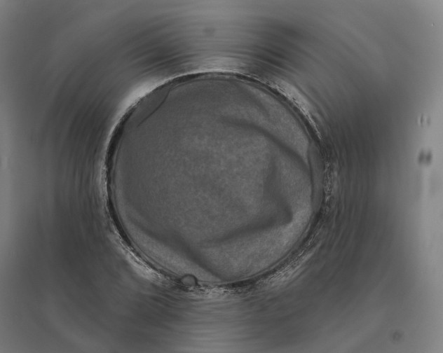 X0000095111072200712301731