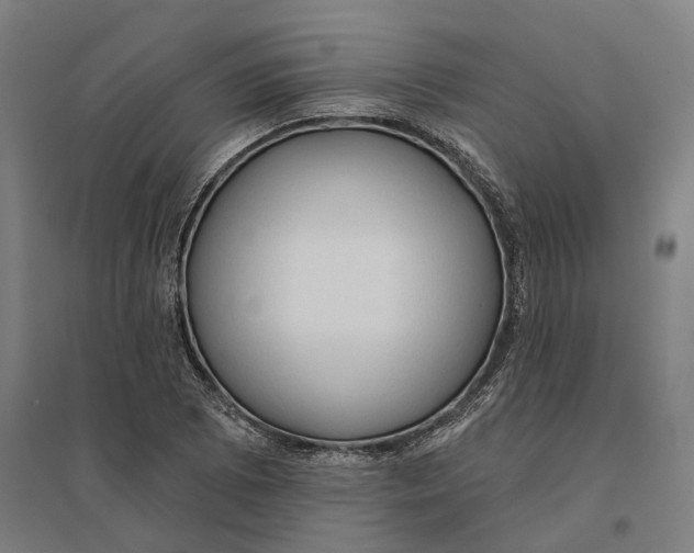 X0000095111073200712301731