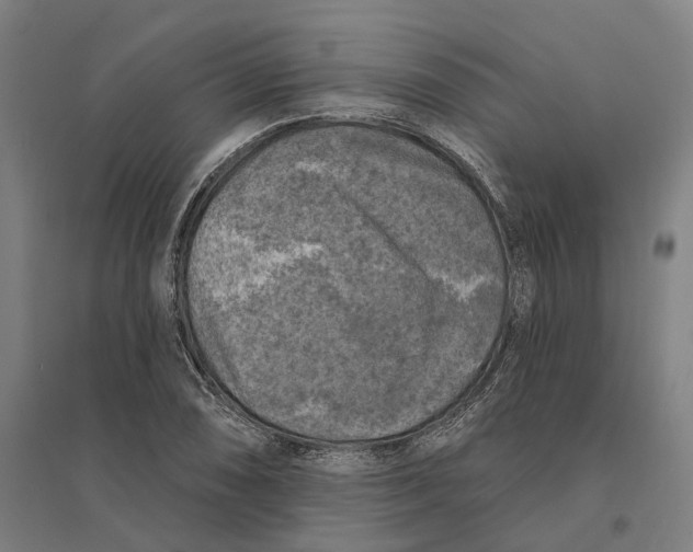 X0000095111074200712301731