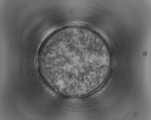 X0000095111075200712301730