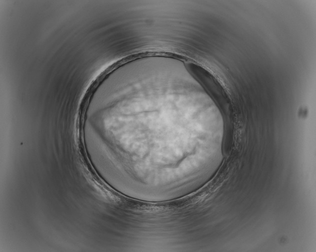 X0000095111076200712301730