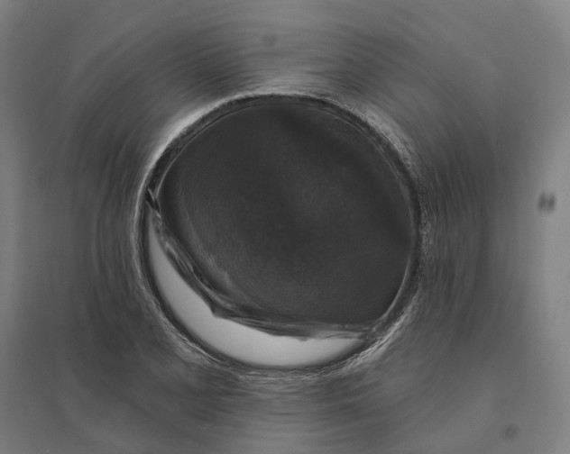 X0000095111077200712301730