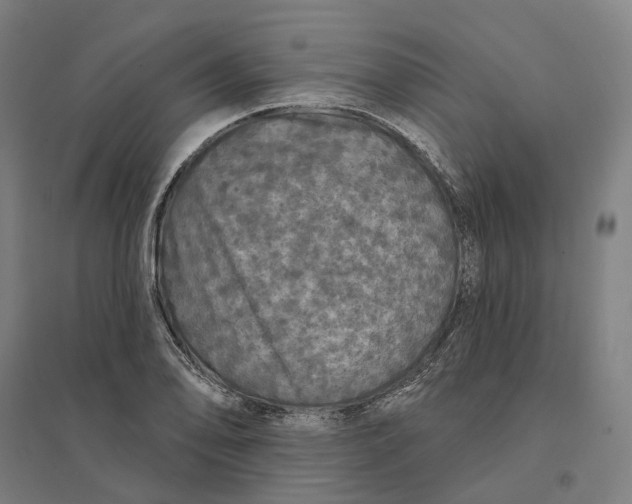 X0000095111078200712301730