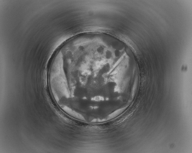 X0000095111079200712301730