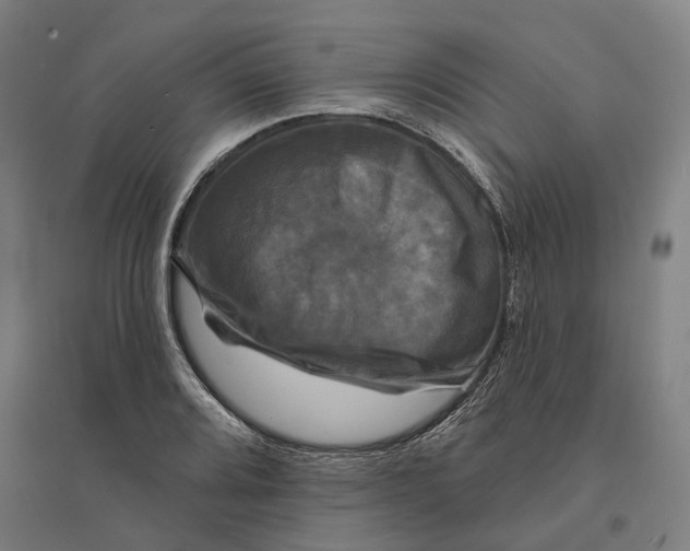 X0000095111080200712301730