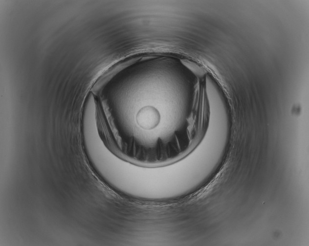 X0000095111081200712301730