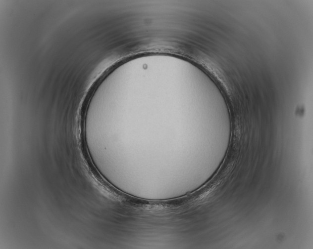 X0000095111082200712301730