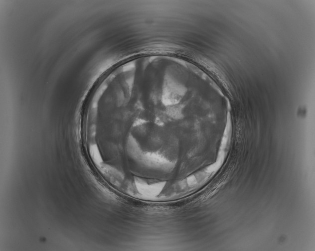 X0000095111083200712301730