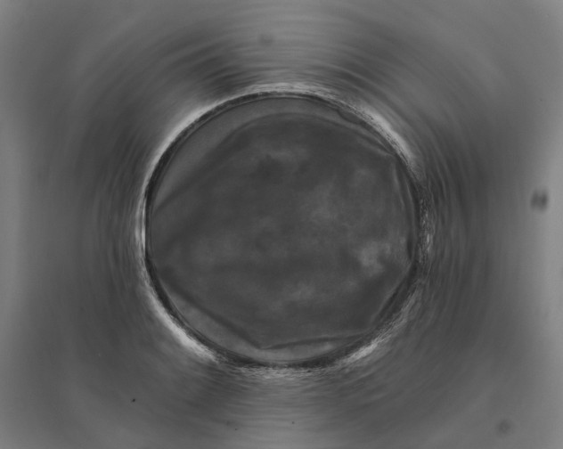 X0000095111084200712301730