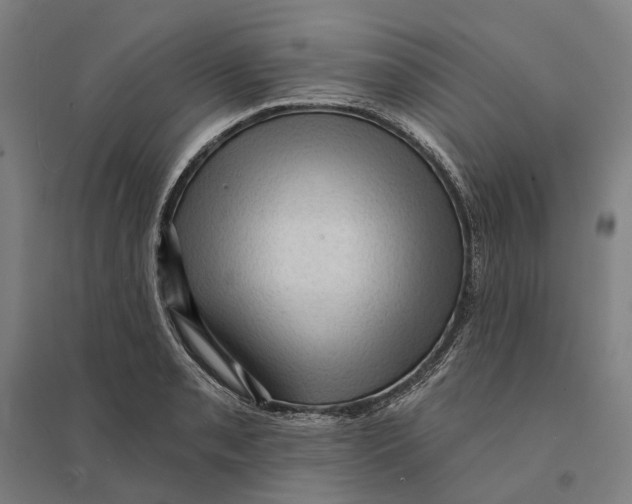 X0000095111085200712301730