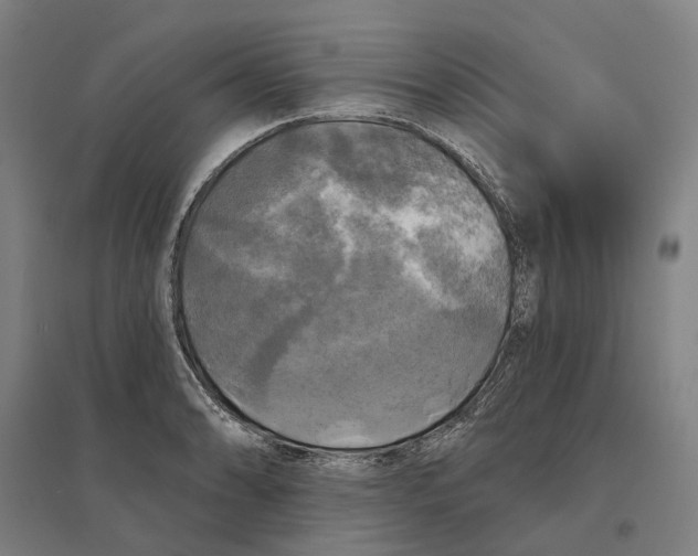 X0000095111086200712301730