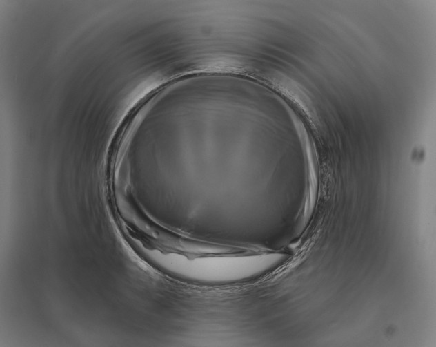 X0000095111087200712301730